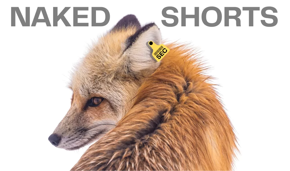 Who is Guarding the Hen House?